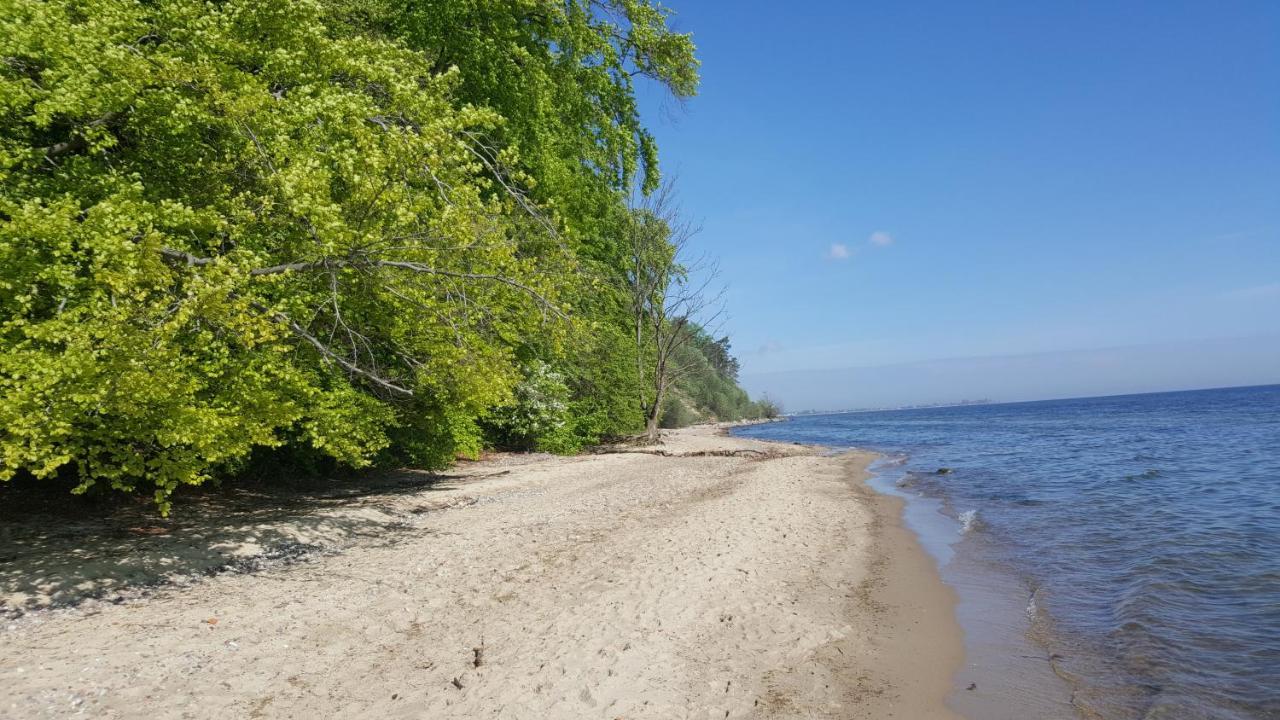 Gdynia-Sea Shell Idealny Dla Pary I Rodziny - Z Parkingiem,Blisko Plazy I Centrum ภายนอก รูปภาพ